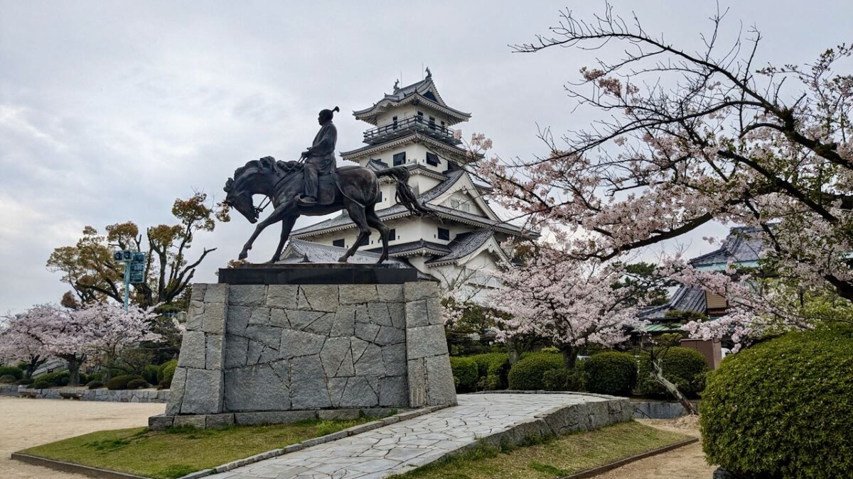 今治市内のおすすめお花見スポット！桜の開花状況2024＜陸地部中心