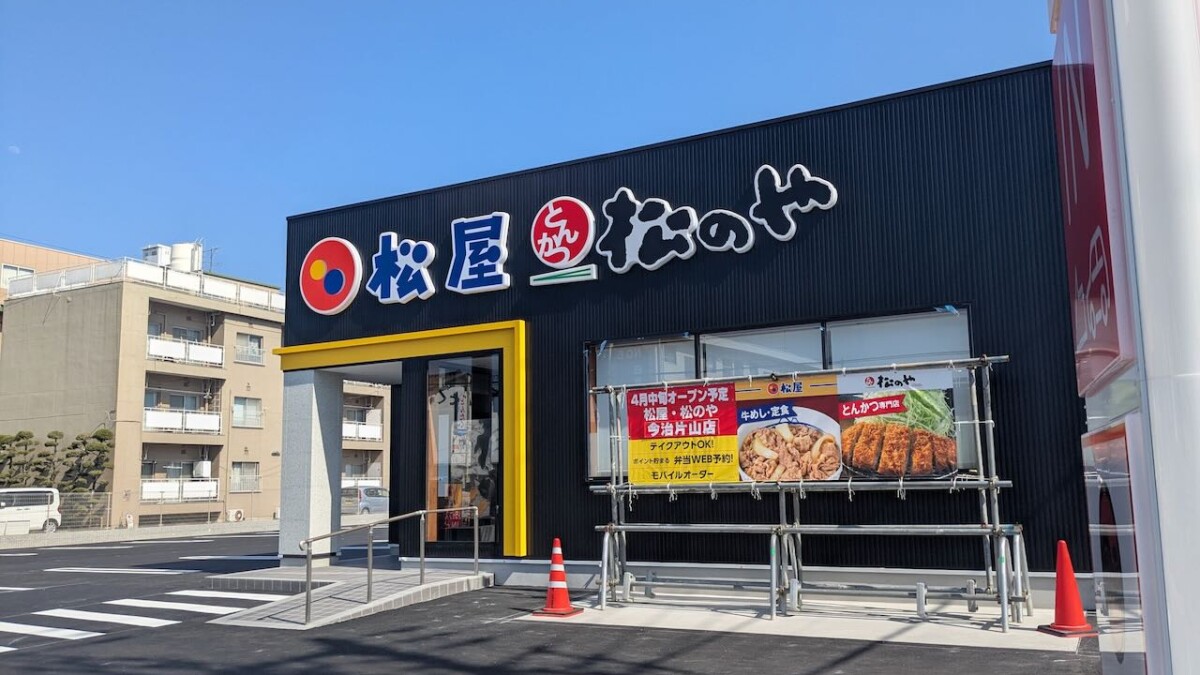 PXL_20250407_054748563-