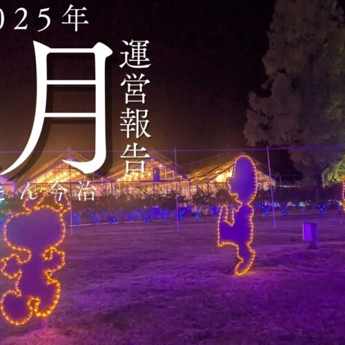 運営報告　表紙　タオル美術館