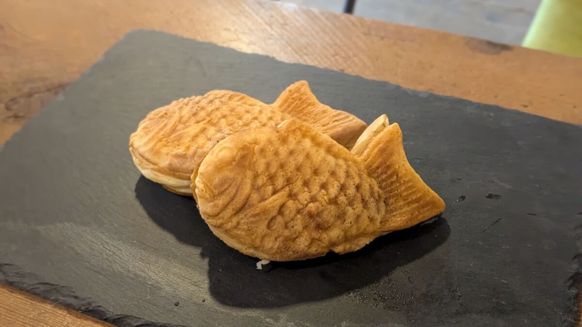 PXL_20251114_033313440.