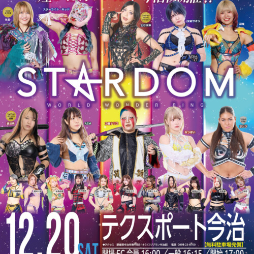 スターダム　ポスター