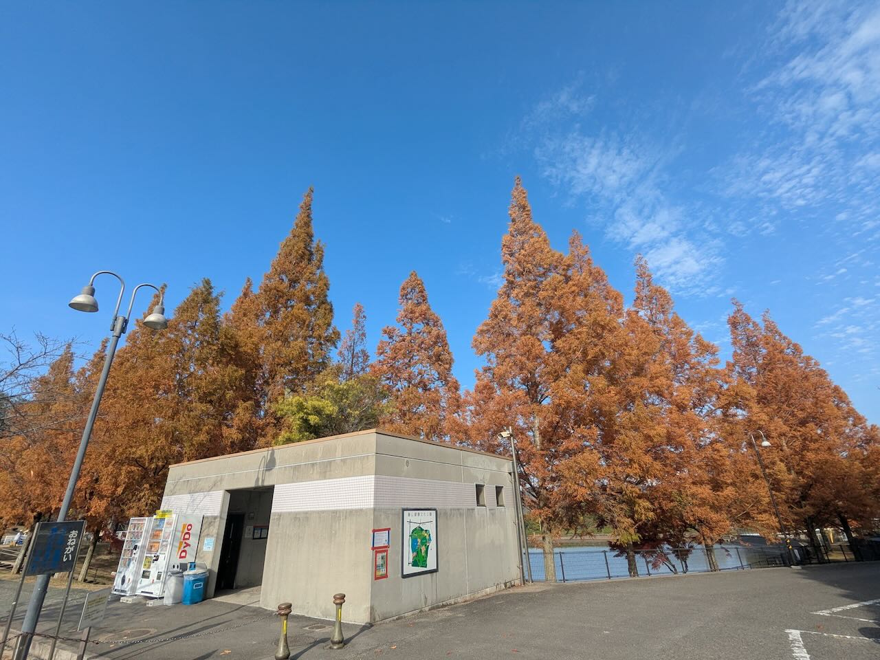 藤山公園 紅葉トイレ