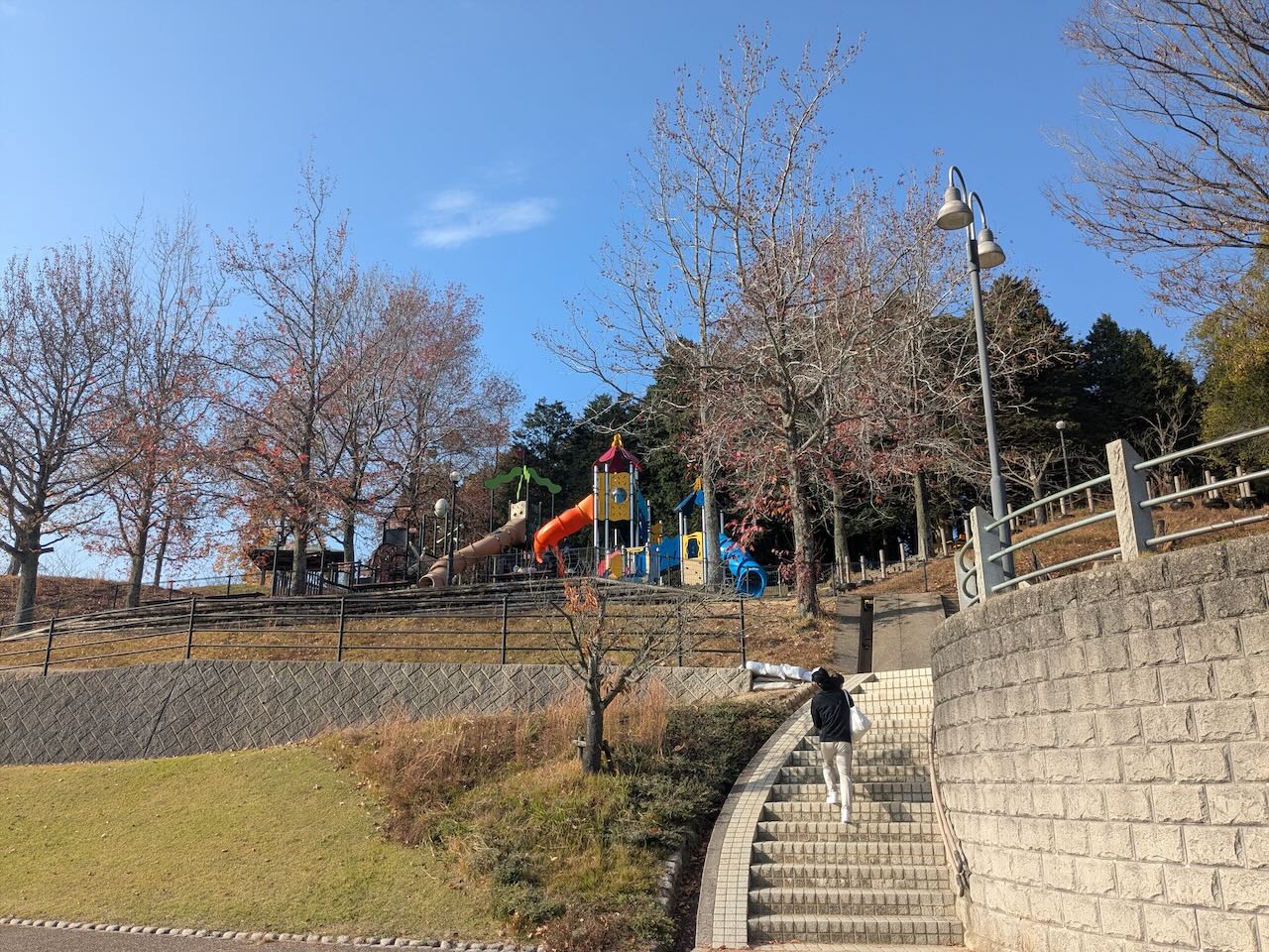 藤山公園 すべりだい