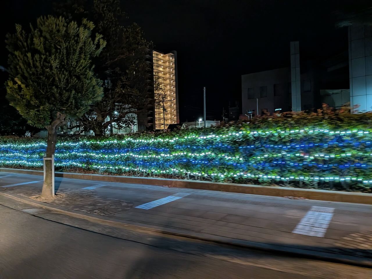 今治・花と緑と光の会イルミネーション　図書館