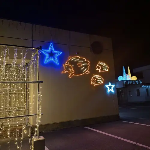 玉川サイコープラザ　イルミネーション　トンネルイノシシ